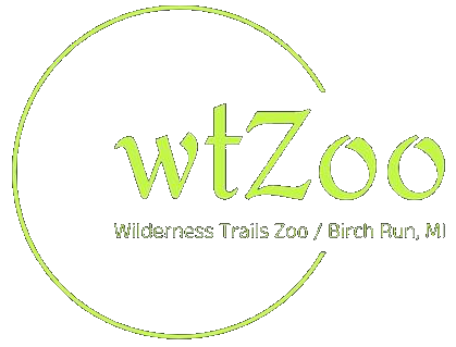 Wilderness Trails Zoo